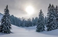 Wintersonnenwende - das Fest zur R&uuml;ckkehr des Lichts